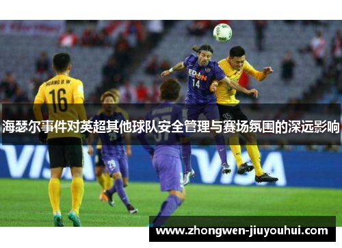 海瑟尔事件对英超其他球队安全管理与赛场氛围的深远影响