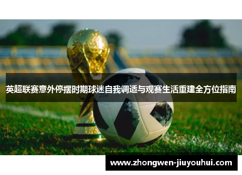 英超联赛意外停摆时期球迷自我调适与观赛生活重建全方位指南 英超联赛意外停摆时期球迷自我调适与观赛生活重建全方位指南