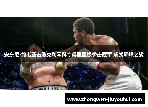 安东尼·约书亚击败克利琴科夺得重量级拳击冠军 成就巅峰之战