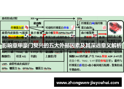 影响意甲豪门复兴的五大外部因素及其深远意义解析
