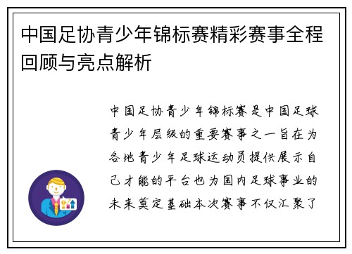 中国足协青少年锦标赛精彩赛事全程回顾与亮点解析